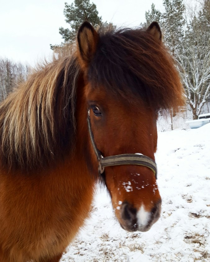 wp-1455467461309 image