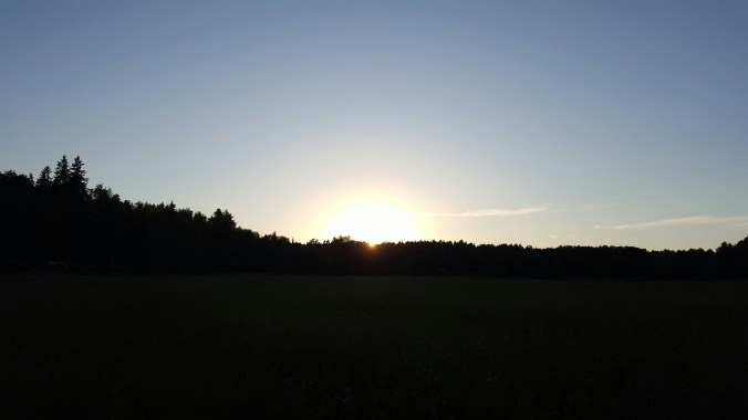 IMG_20160625_213553.jpg image